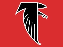 NFL Team logo