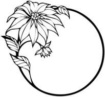 Flowers Black and White drawing