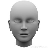 Human Head 3D Model