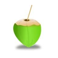 Coconut Drink Clip Art drawing