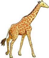Giraffe Clip Art N109