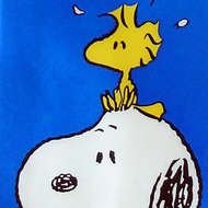 Snoopy Woodstock N9