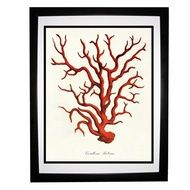 Red Coral Pillow