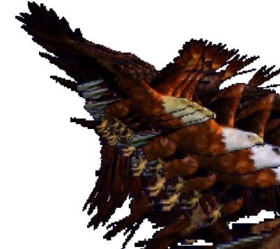Animated Flying Eagle N2