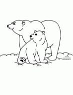 drawn two polar bears in a coloring book