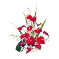 Hawaiian Tropical Flower as a picture for clipart