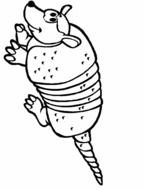 Armadillo as a graphic illustration