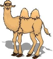 cute Animated Camel drawing