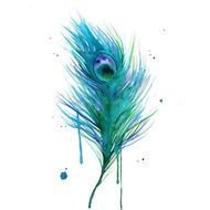 Watercolor Peacock Feather Tattoo N4