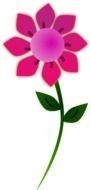 digital pink flower on the white background