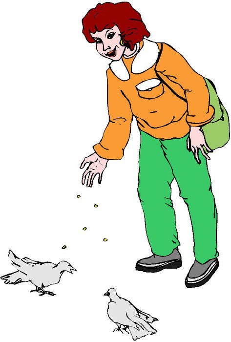 Pigeon Clip Art N17