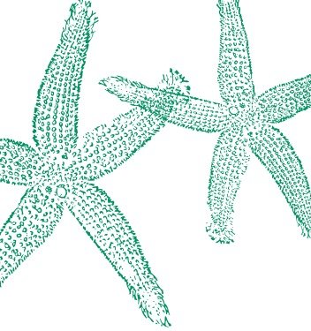 Blue Starfish Clip Art N12