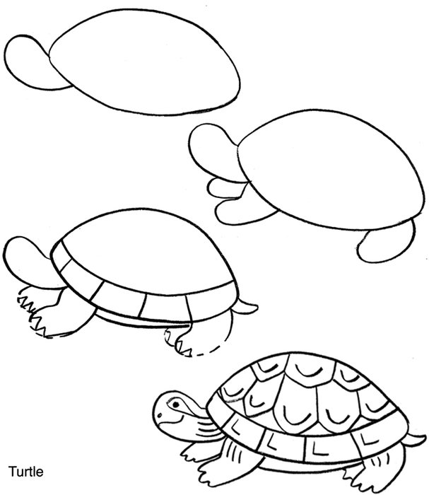 How To Draw Sea Turtles