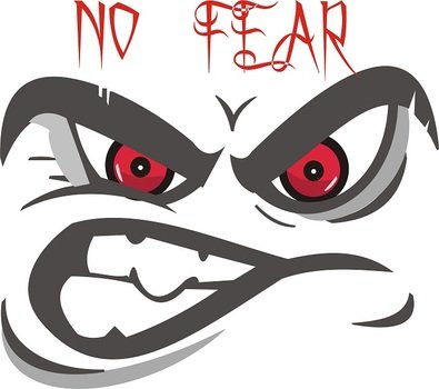 No Fear N2