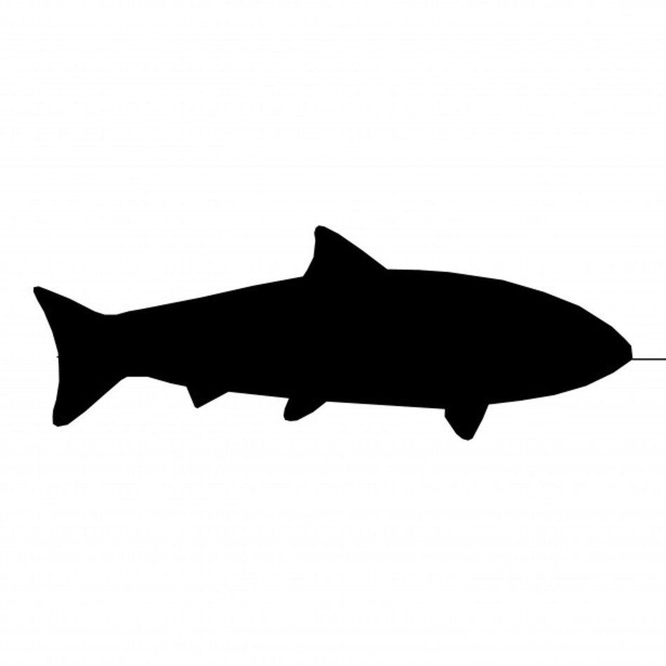 Fish Silhouette Clip Art N12