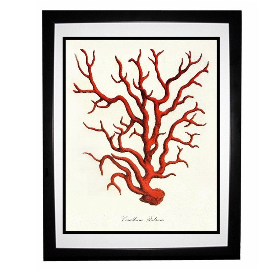 Red Coral Pillow