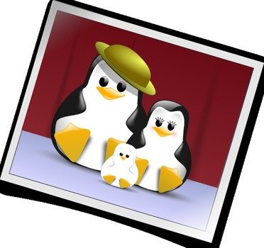Penguin Family Clip Art Free N2