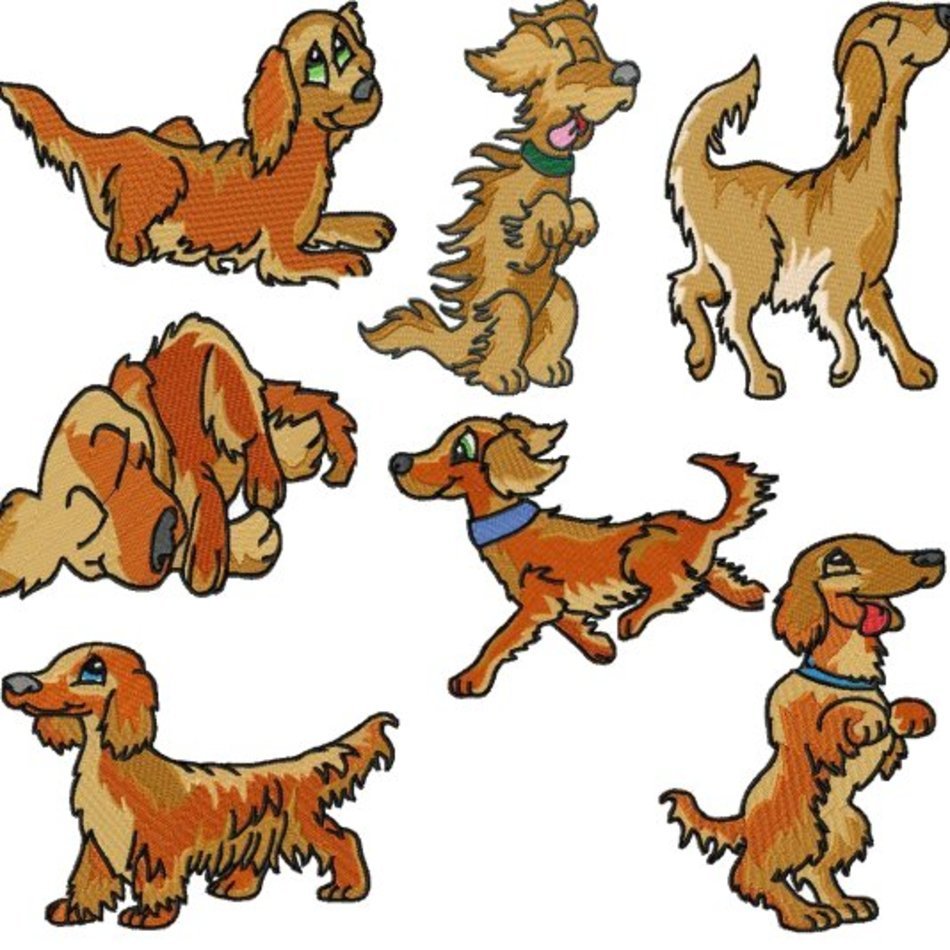 Irish Setter Embroidery