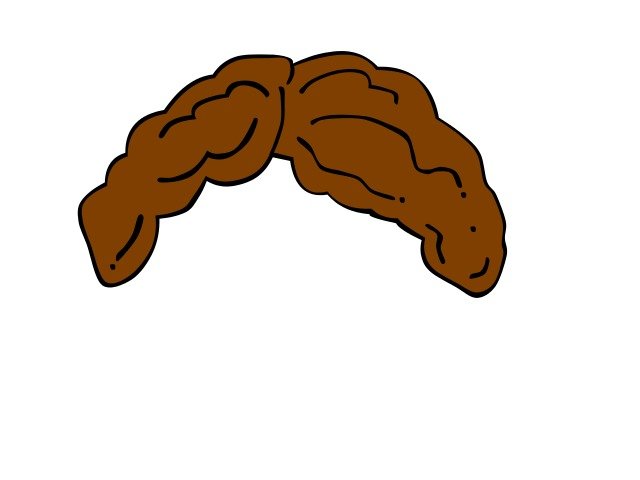 Hair Wig Clip Art N12