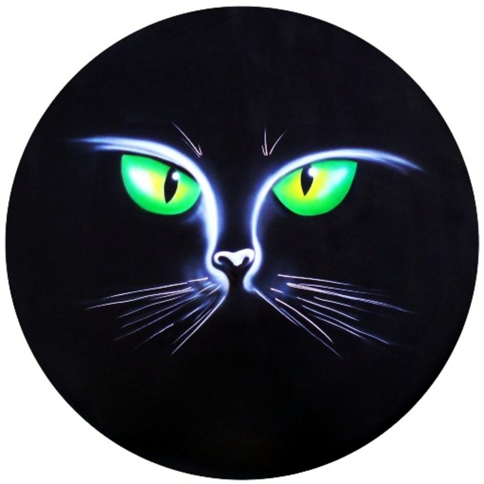 Cat Tire Cover