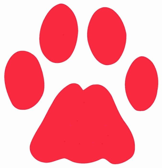Paw Print Outline Clip Art N3
