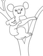 Koala Bear Coloring Pages drawing