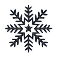 High Resolution Snow Flakes