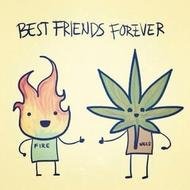 Best Friends Weed