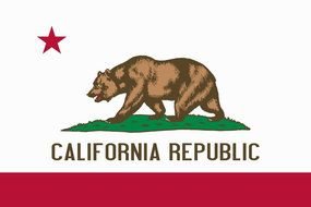 California state Flag, drawing