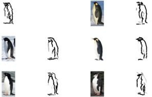 different penguins as graphic elements for a clipart