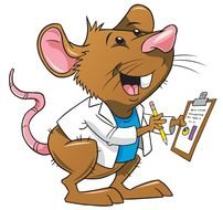 cartoon mouse doctor