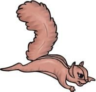 cute Squirrel drawing