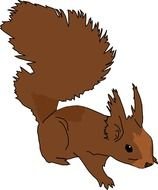 brown Squirrel, drawing