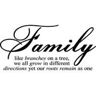 Family Like Branches On A Tree Quote drawing