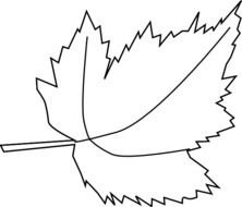 Maple Shadow Clip Art