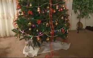 decoration of Christmas tree in room