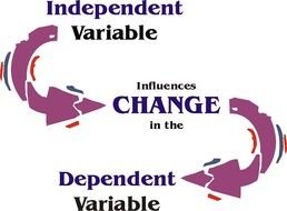 Independent Variable drawing