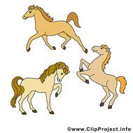 Bildtitel Drei Pferde Clipart