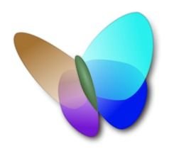 MSN Butterfly Logo Vector