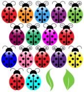 Pink Ladybug Clip Art drawing