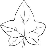 Ivy Leaf Clip Art N28