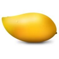 Cartoon Mango N5