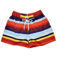Womens Couple Rainbow Stripe Zebra Beach Surf Board Swim Shorts XL