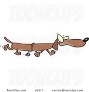 Long Cartoon Wiener Dog Using Training Wheels 2017 By Ron Leishman