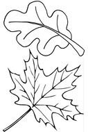 Four Leaf Clover Coloring Pages drawing