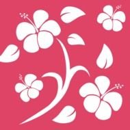 painted white hawaiian flowers on a pink background