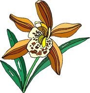 Plant Clip Art N53