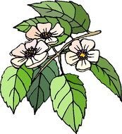 Plant Clip Art N54