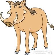 Wild Hog Clip Art N8