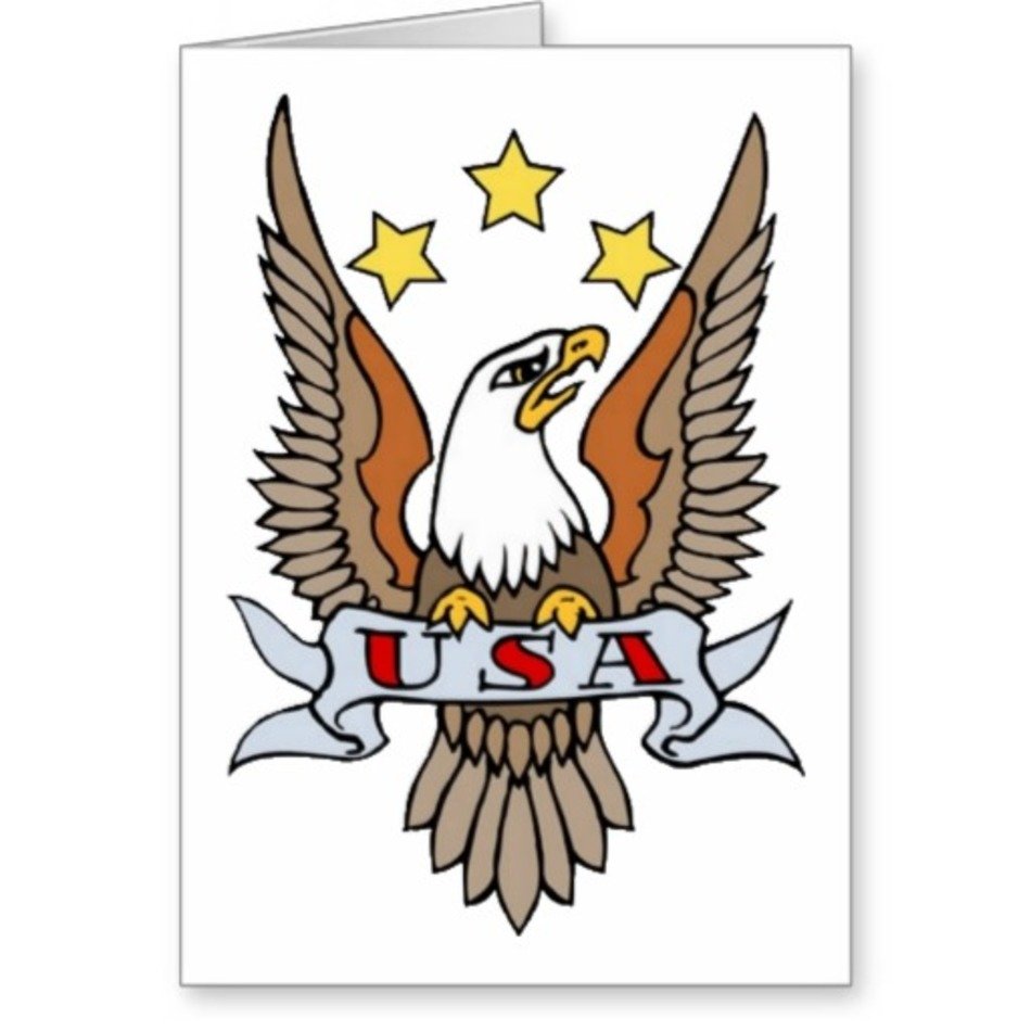 USA Eagle Tattoo Drawings